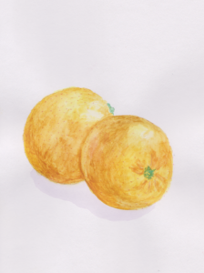 Watercolor painting titled Oranges showing a pair of oranges by artist Kellyanne