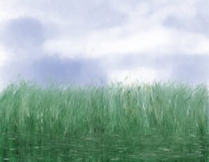 A painting of a marsh with long marsh grasses under a blue sky