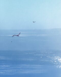 A painting of two seagulls flying over the ocean with sunlight reflecting on the water below.